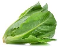 ROMAIN LETTUCE