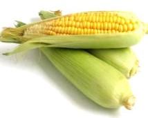 CORN OF COB 