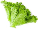 Organic Lettuce