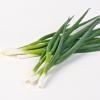 Organic Spring Onion